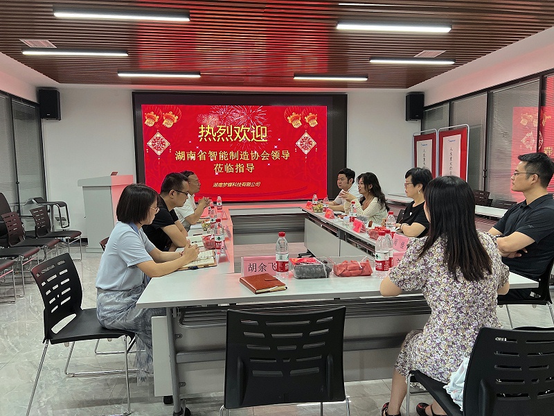 湖南夢蝶科技