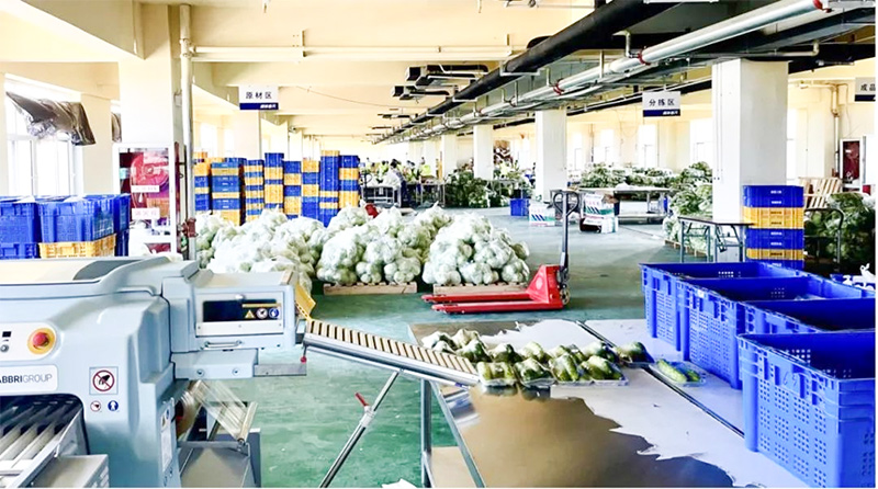 夢蝶科技案例分享：冷鏈物流企業跑步入局，數字化逐鹿百億級賽道